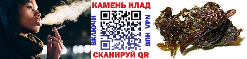 где найти наркотики  Кочубеевское  дарк нет как зайти  ГАШИШ убойный 